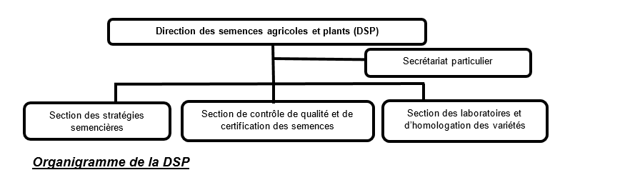 organigramme